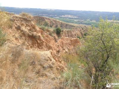 Cárcavas del Pontón de la Oliva y Patones | Badlands de Guadalajara; senderismo valencia rutas sende